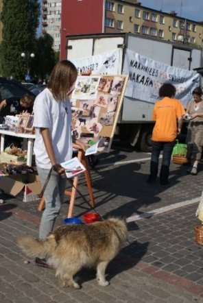 Targi Ekologiczne (27.09.09) - zdjęcie #27 - eOstroleka.pl