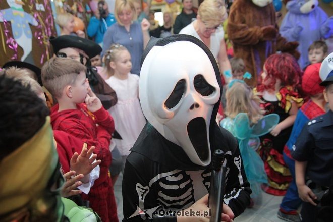 Bal karnawałowy w Krainie Misiów [22.01.2016] - zdjęcie #117 - eOstroleka.pl