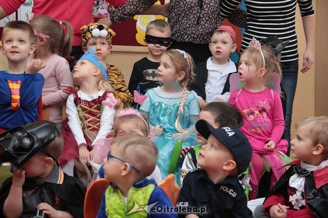 Bal karnawałowy w Krainie Misiów [22.01.2016] - zdjęcie #86 - eOstroleka.pl