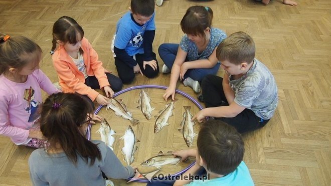 Ferie z Ekomeną i ochrona życia fok oraz morświnów [17.02.2016] - zdjęcie #17 - eOstroleka.pl