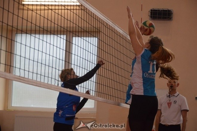 Nike Ostrołęka - Sparta Grodzisk Mazowiecki [27.02.2016] - zdjęcie #1 - eOstroleka.pl