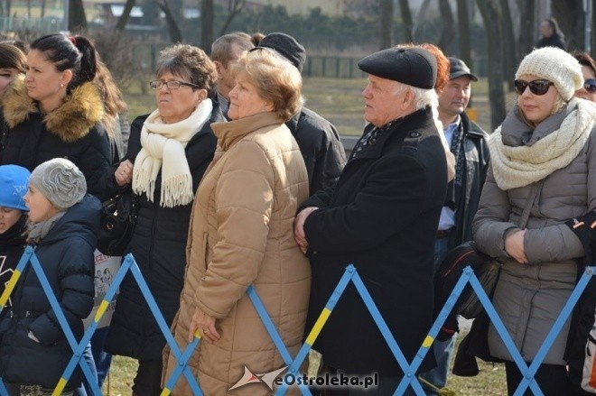 Bieg Tropem Wilczym w Ostrołęce [28.02.2016] - zdjęcie #6 - eOstroleka.pl