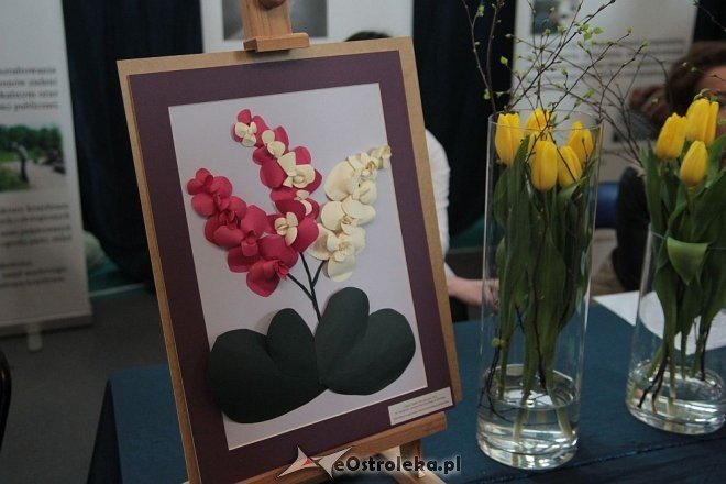 XIV Ostrołęckie Prezentacje Edukacyjne za nami [10.03.2016] - zdjęcie #18 - eOstroleka.pl