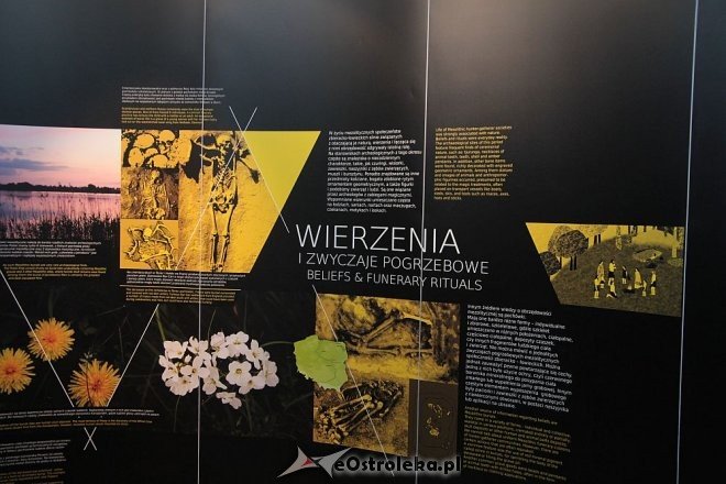 Wernisaż wystawy Człowiek z Janisławic w Muzeum Kultury Kurpiowskiej w Ostrołęce [10.03.2016] - zdjęcie #22 - eOstroleka.pl