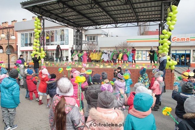 Pierwszy dzień wiosny w Ostrołęce [21.03.2016] - zdjęcie #43 - eOstroleka.pl