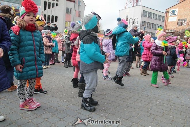 Pierwszy dzień wiosny w Ostrołęce [21.03.2016] - zdjęcie #105 - eOstroleka.pl