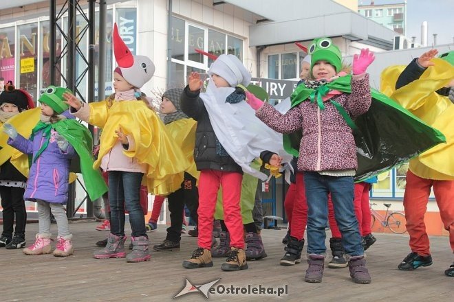 Pierwszy dzień wiosny w Ostrołęce [21.03.2016] - zdjęcie #103 - eOstroleka.pl