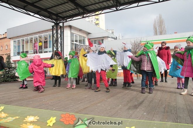 Pierwszy dzień wiosny w Ostrołęce [21.03.2016] - zdjęcie #82 - eOstroleka.pl