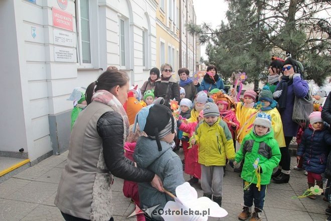 Pierwszy dzień wiosny w Ostrołęce [21.03.2016] - zdjęcie #76 - eOstroleka.pl