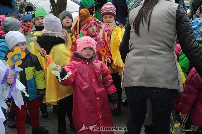 Pierwszy dzień wiosny w Ostrołęce [21.03.2016] - zdjęcie #71 - eOstroleka.pl