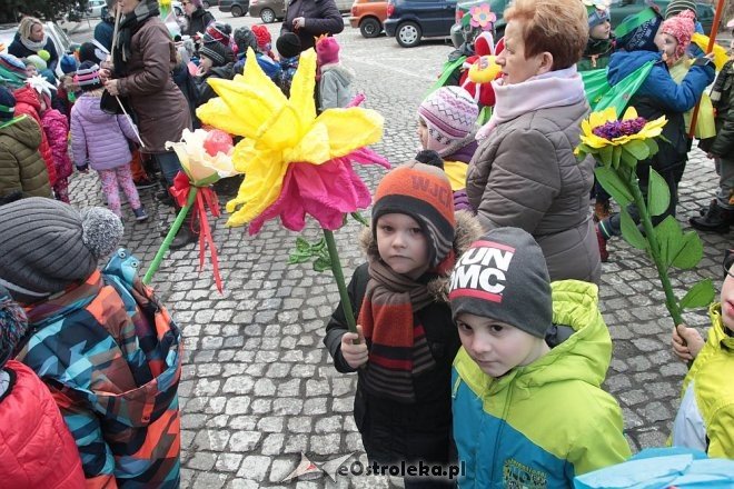 Pierwszy dzień wiosny w Ostrołęce [21.03.2016] - zdjęcie #56 - eOstroleka.pl