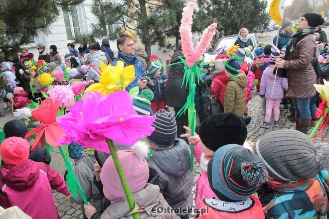 Pierwszy dzień wiosny w Ostrołęce [21.03.2016] - zdjęcie #55 - eOstroleka.pl