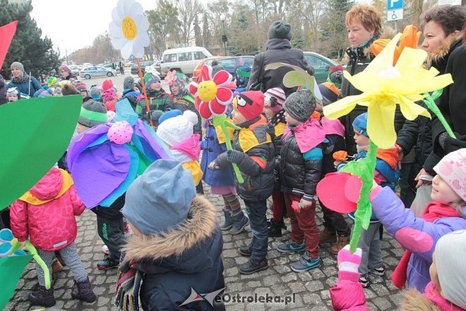 Pierwszy dzień wiosny w Ostrołęce [21.03.2016] - zdjęcie #50 - eOstroleka.pl