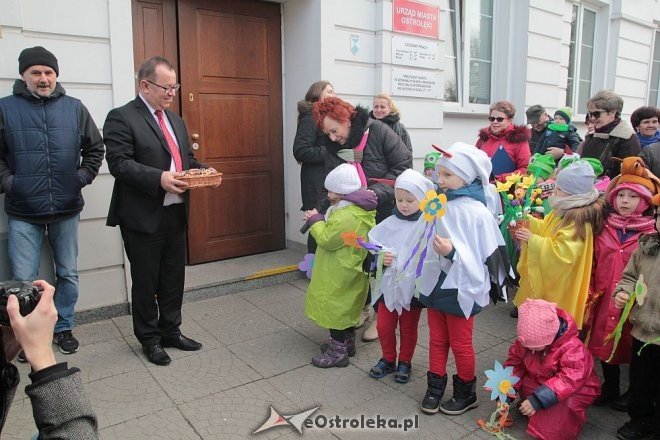 Pierwszy dzień wiosny w Ostrołęce [21.03.2016] - zdjęcie #105 - eOstroleka.pl