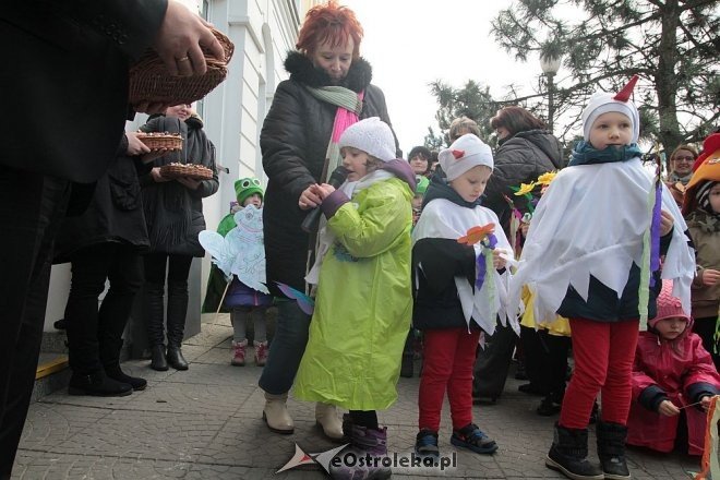 Pierwszy dzień wiosny w Ostrołęce [21.03.2016] - zdjęcie #46 - eOstroleka.pl