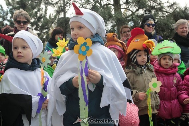 Pierwszy dzień wiosny w Ostrołęce [21.03.2016] - zdjęcie #109 - eOstroleka.pl