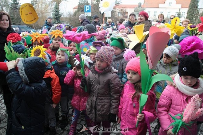 Pierwszy dzień wiosny w Ostrołęce [21.03.2016] - zdjęcie #30 - eOstroleka.pl