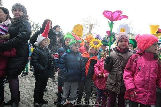 Pierwszy dzień wiosny w Ostrołęce [21.03.2016] - zdjęcie #23 - eOstroleka.pl