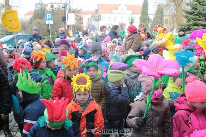 Pierwszy dzień wiosny w Ostrołęce [21.03.2016] - zdjęcie #17 - eOstroleka.pl