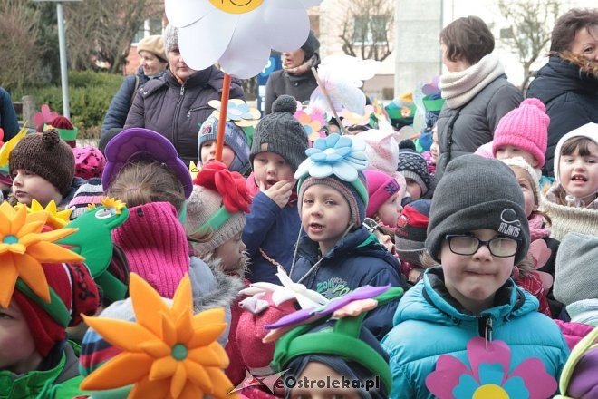 Pierwszy dzień wiosny w Ostrołęce [21.03.2016] - zdjęcie #15 - eOstroleka.pl