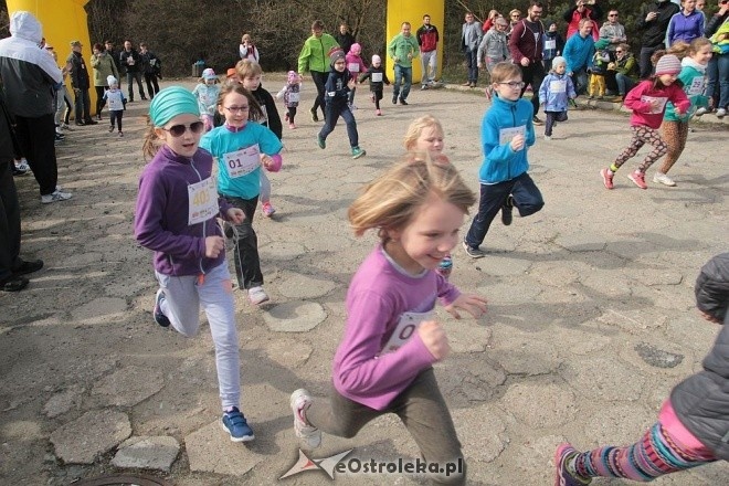 II Cross Bieg Szalonego Kurpsia w Ostrołęce [03.04.2016] - zdjęcie #194 - eOstroleka.pl