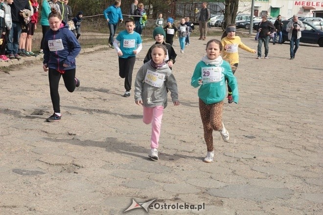 II Cross Bieg Szalonego Kurpsia w Ostrołęce [03.04.2016] - zdjęcie #178 - eOstroleka.pl
