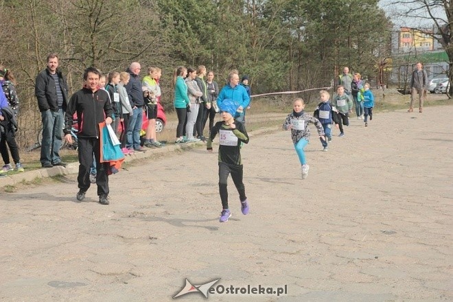 II Cross Bieg Szalonego Kurpsia w Ostrołęce [03.04.2016] - zdjęcie #177 - eOstroleka.pl