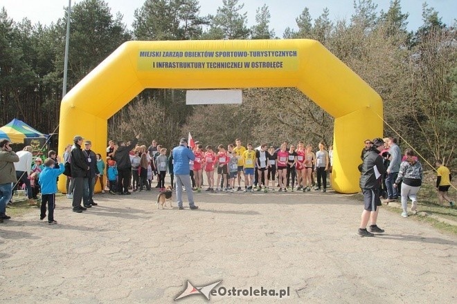 II Cross Bieg Szalonego Kurpsia w Ostrołęce [03.04.2016] - zdjęcie #150 - eOstroleka.pl