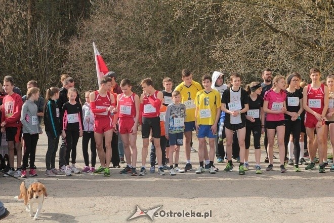 II Cross Bieg Szalonego Kurpsia w Ostrołęce [03.04.2016] - zdjęcie #148 - eOstroleka.pl