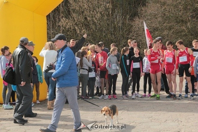 II Cross Bieg Szalonego Kurpsia w Ostrołęce [03.04.2016] - zdjęcie #147 - eOstroleka.pl