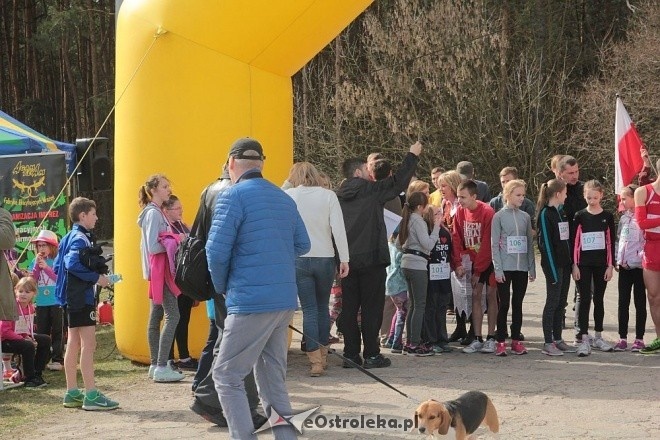 II Cross Bieg Szalonego Kurpsia w Ostrołęce [03.04.2016] - zdjęcie #146 - eOstroleka.pl