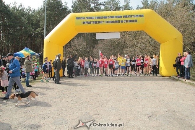 II Cross Bieg Szalonego Kurpsia w Ostrołęce [03.04.2016] - zdjęcie #145 - eOstroleka.pl