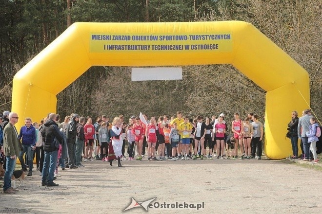 II Cross Bieg Szalonego Kurpsia w Ostrołęce [03.04.2016] - zdjęcie #144 - eOstroleka.pl