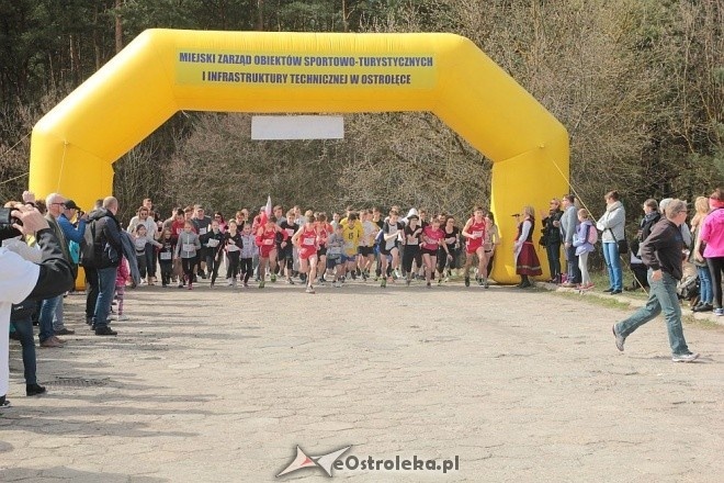 II Cross Bieg Szalonego Kurpsia w Ostrołęce [03.04.2016] - zdjęcie #143 - eOstroleka.pl