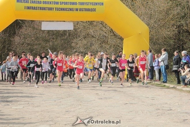 II Cross Bieg Szalonego Kurpsia w Ostrołęce [03.04.2016] - zdjęcie #142 - eOstroleka.pl