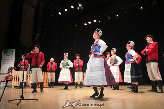 Uroczysta gala wręczenia Kurpików 2015 [04.04.2016] - zdjęcie #19 - eOstroleka.pl