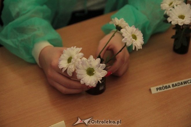 6. Festiwal Nauki w Zespole Szkół nr 5 [08.04.2016] - zdjęcie #60 - eOstroleka.pl