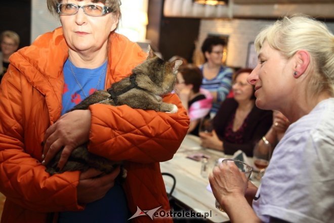 Pokaz mody dla puszystych pań w Klubie Avalon [14.04.2016] - zdjęcie #4 - eOstroleka.pl