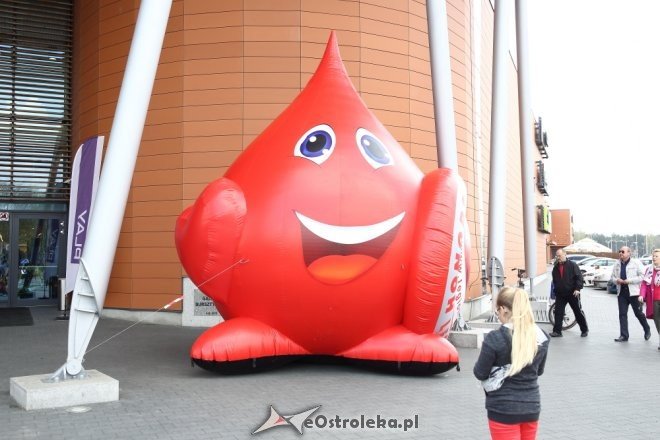 Bursztynowa Krew w Ostrołęce po raz drugi [16.04.2016] - zdjęcie #27 - eOstroleka.pl