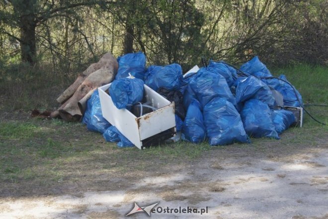 Wędkarze z PZW Energopap sprzątali Ostrołękę [25.04.2016] - zdjęcie #3 - eOstroleka.pl
