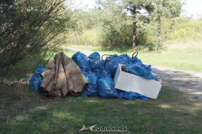Wędkarze z PZW Energopap sprzątali Ostrołękę [25.04.2016] - zdjęcie #4 - eOstroleka.pl