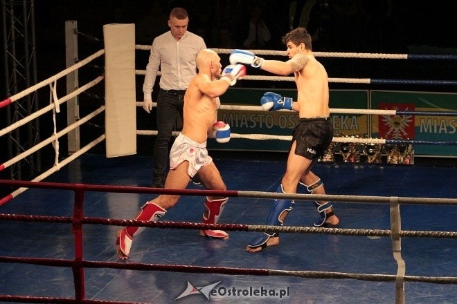 IV Gala Sportów Walki Sparta [30.04.2016] - zdjęcie #50 - eOstroleka.pl