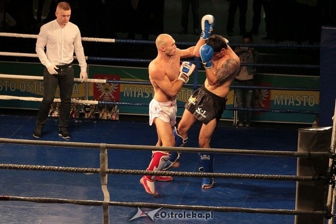 IV Gala Sportów Walki Sparta [30.04.2016] - zdjęcie #45 - eOstroleka.pl