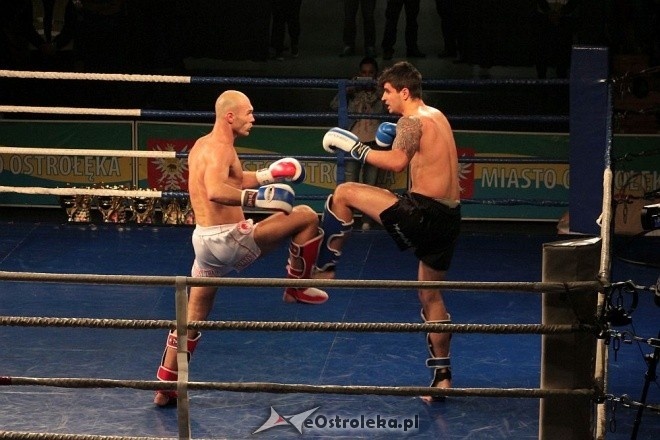 IV Gala Sportów Walki Sparta [30.04.2016] - zdjęcie #41 - eOstroleka.pl