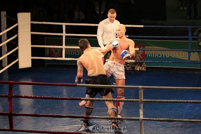 IV Gala Sportów Walki Sparta [30.04.2016] - zdjęcie #40 - eOstroleka.pl