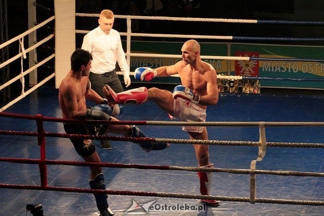 IV Gala Sportów Walki Sparta [30.04.2016] - zdjęcie #39 - eOstroleka.pl