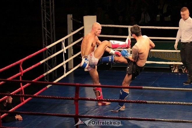 IV Gala Sportów Walki Sparta [30.04.2016] - zdjęcie #32 - eOstroleka.pl