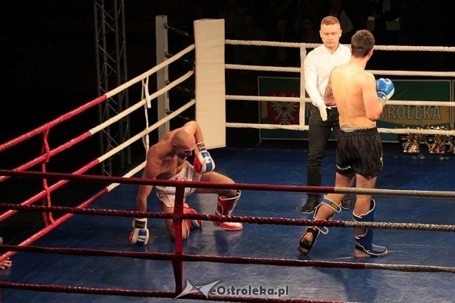 IV Gala Sportów Walki Sparta [30.04.2016] - zdjęcie #31 - eOstroleka.pl