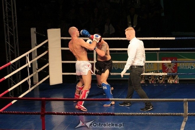 IV Gala Sportów Walki Sparta [30.04.2016] - zdjęcie #30 - eOstroleka.pl