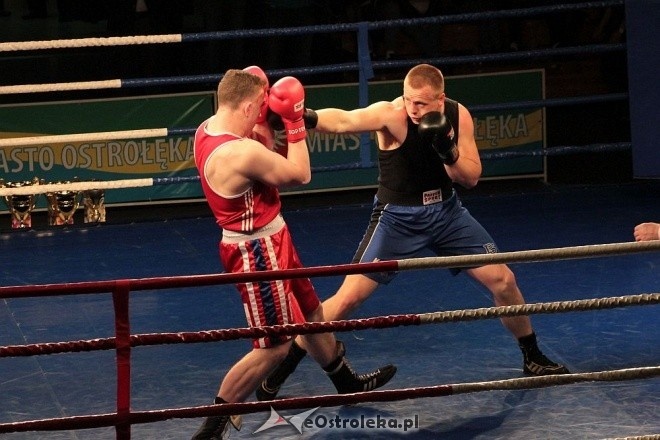 IV Gala Sportów Walki Sparta [30.04.2016] - zdjęcie #23 - eOstroleka.pl